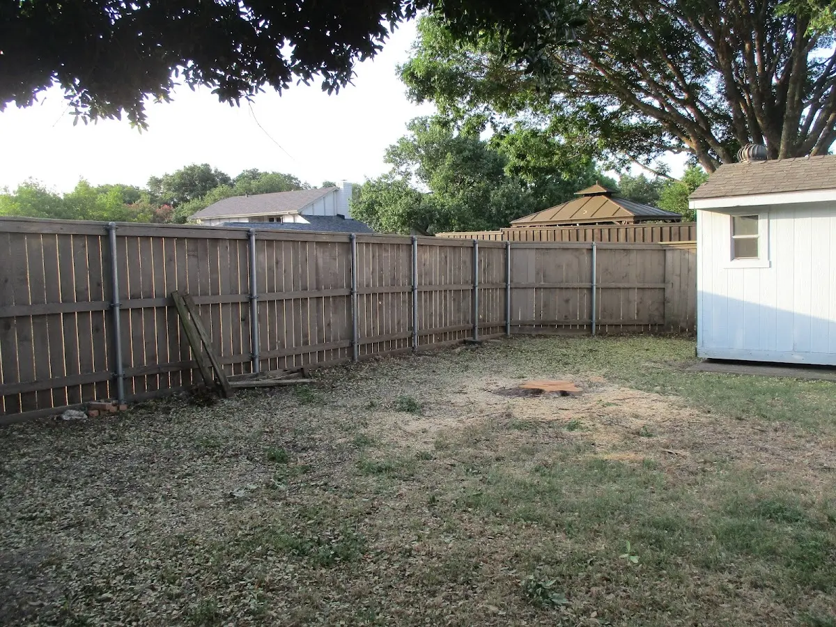 Cleared yard after professional tree removal in West Linn