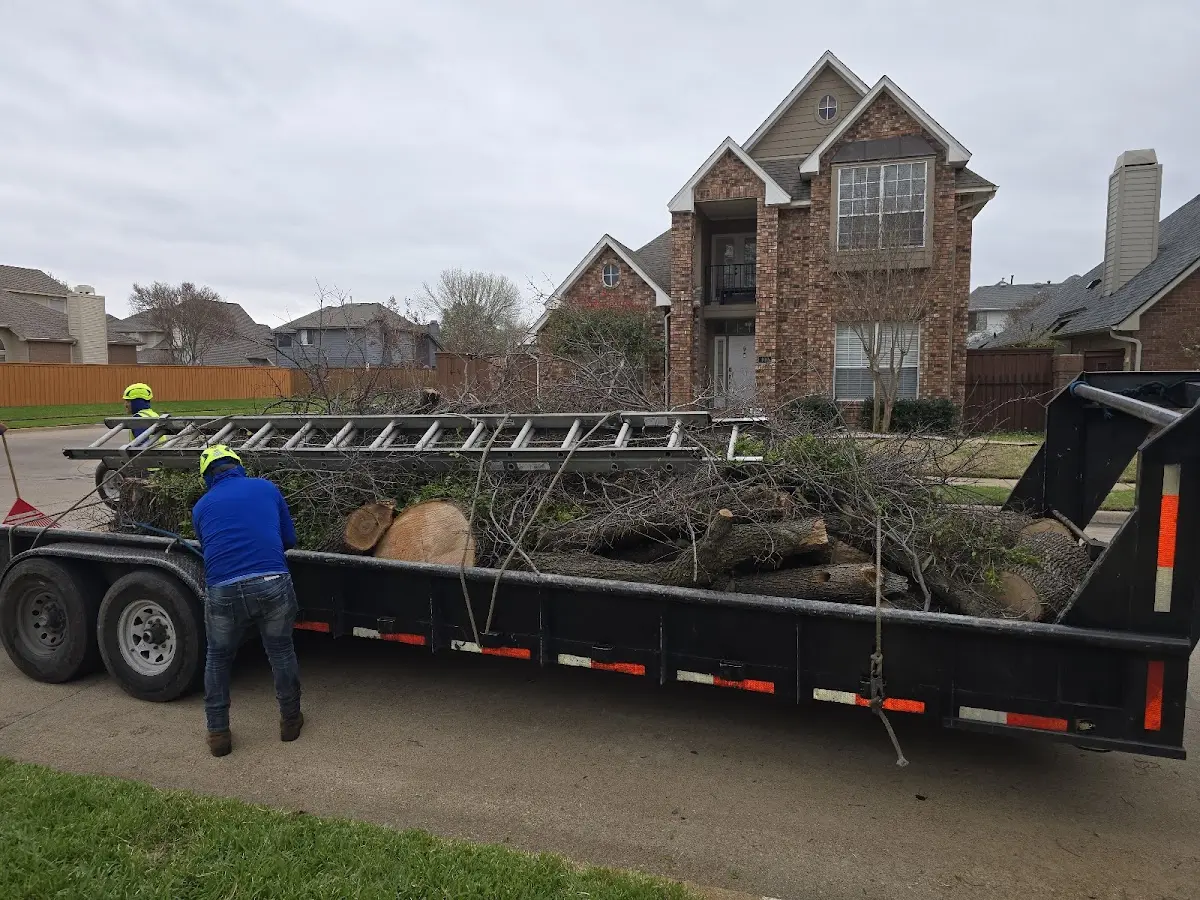 Expert Tree Pest Control with proper safety equipment in West Linn